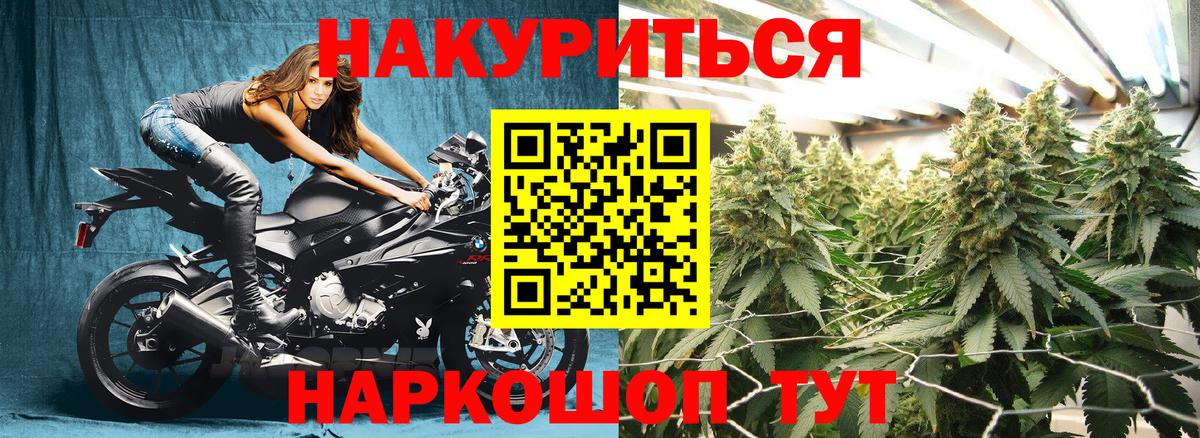 Каннабис планчик Сосновый Бор